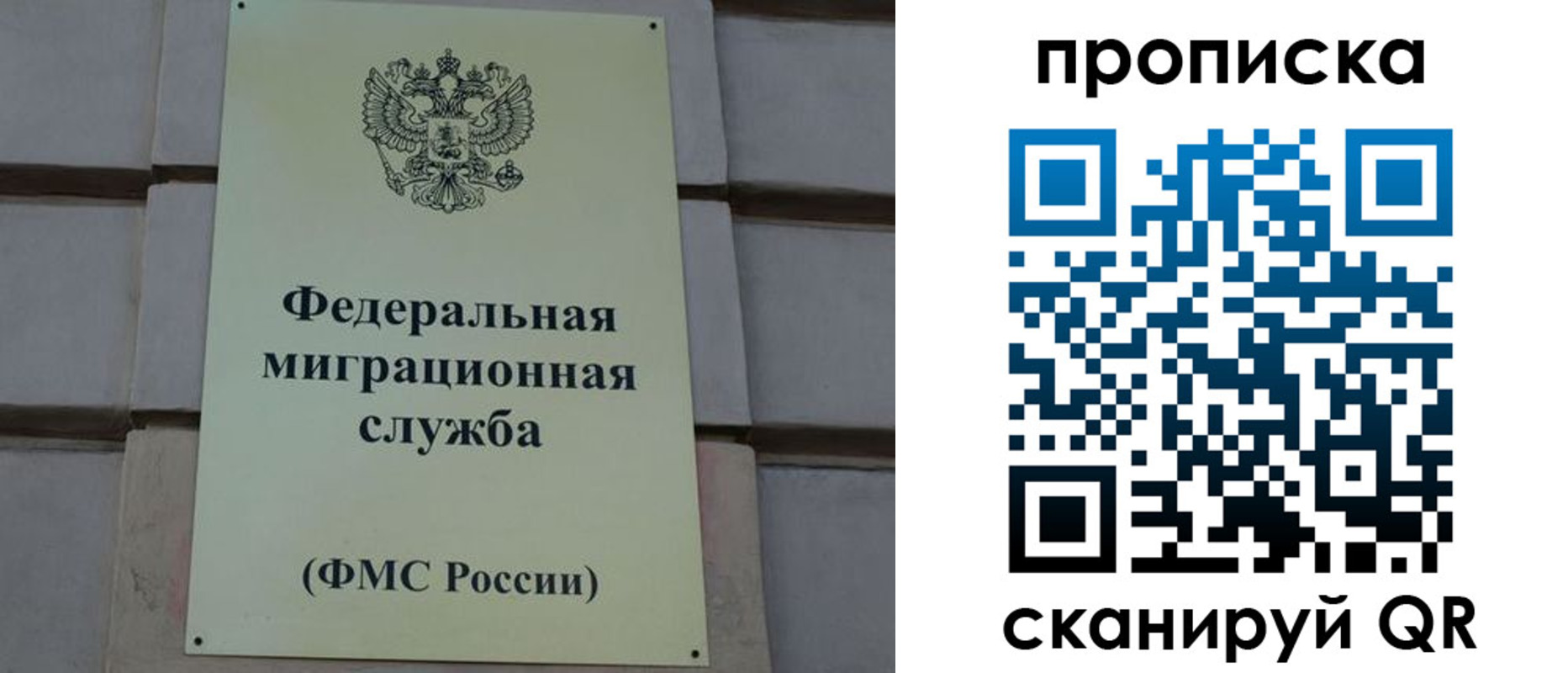 прописка поиск в Ряжске